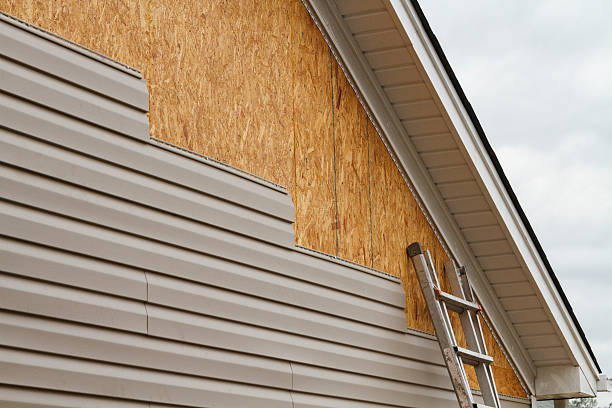 24/7 Emergency Vinyl Siding experts in Algonquin, IL
